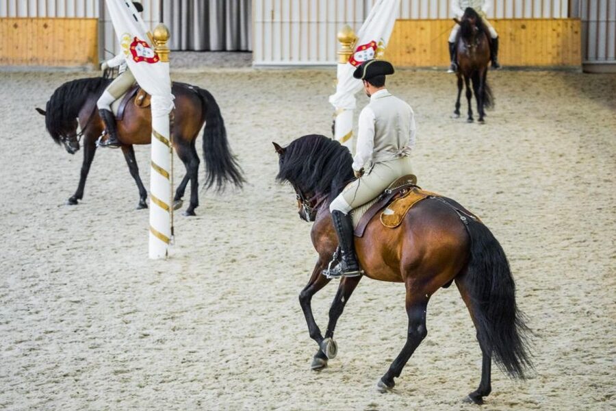 Lisbon: Portuguese Riding School Trainig with Lusitano Horse - Timing your morning at the riding school