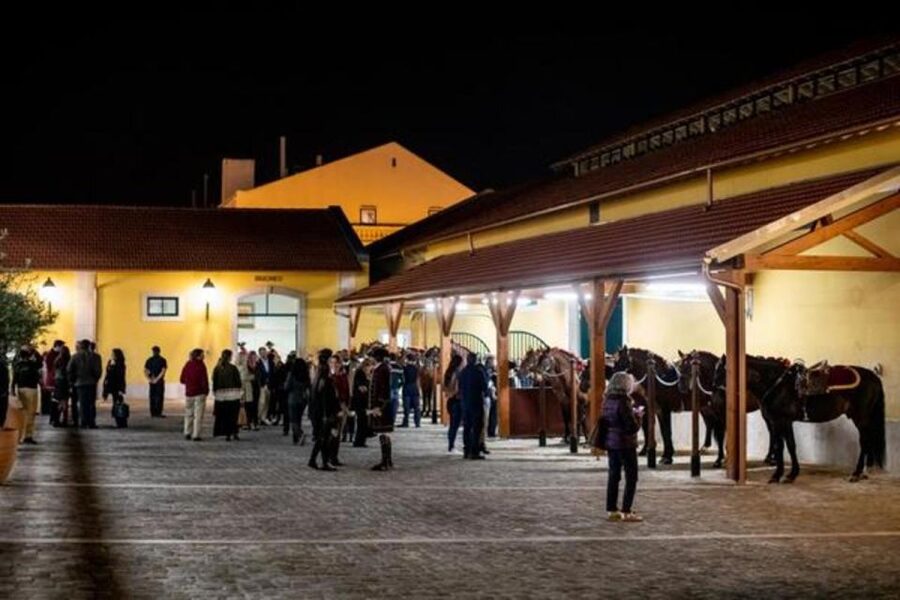 Lisbon: Portuguese Riding School Trainig with Lusitano Horse - Using the audio guide without getting stuck