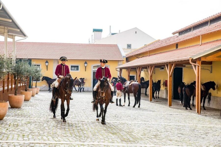 Lisbon: Portuguese Riding School Trainig with Lusitano Horse - Watch riders warm up in period costume