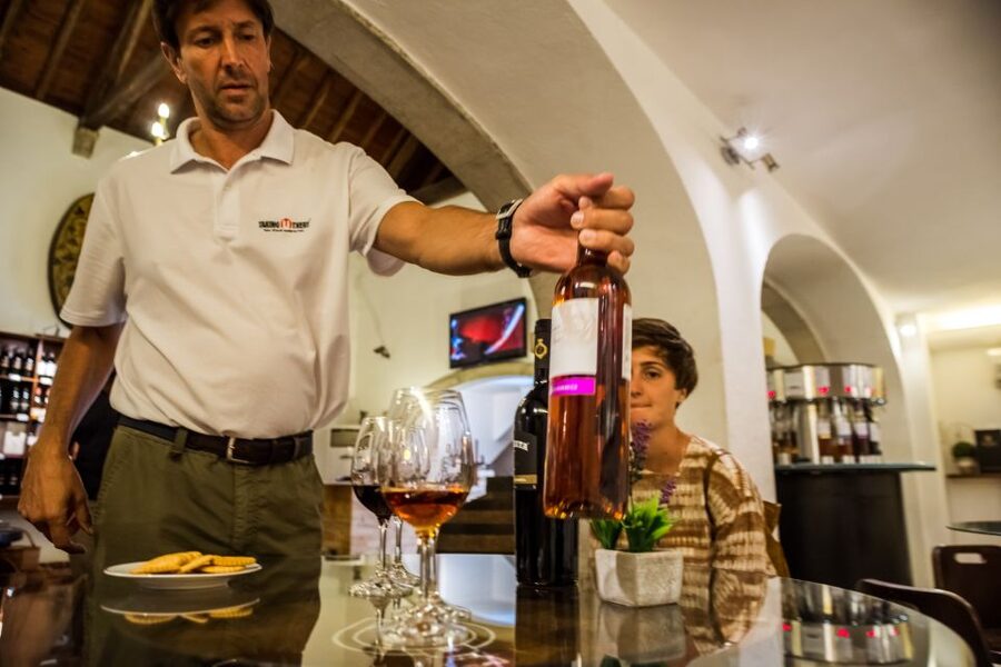 Lisbon Private Setúbal Region Wine Tasting Tour - Why Setúbal makes a fine break from Lisbon