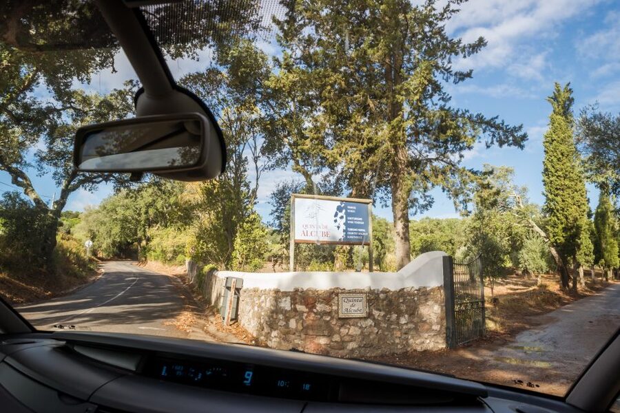 Lisbon Private Setúbal Region Wine Tasting Tour - Your two tasting plans