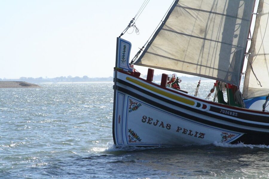 Lisbon: River Tagus Sightseeing Cruise in Traditional Vessel - What the commentary adds, and where it may feel light