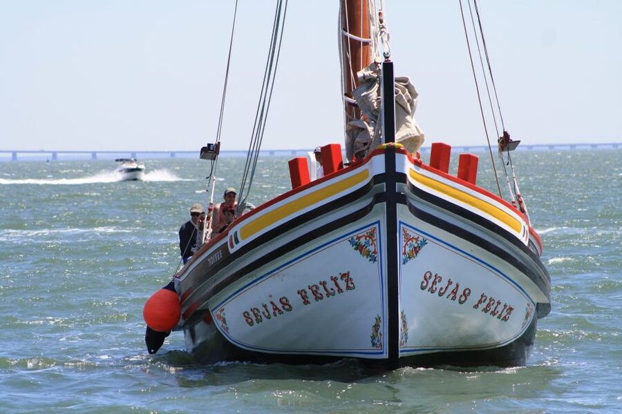 Lisbon: River Tagus Sightseeing Cruise in Traditional Vessel - Comfort, wind, and the best way to prepare