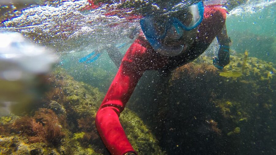 Lisbon: Snorkelling in Sesimbra/Arrábida Natural Park - My verdict: book it for a guided look at Sesimbra’s sea