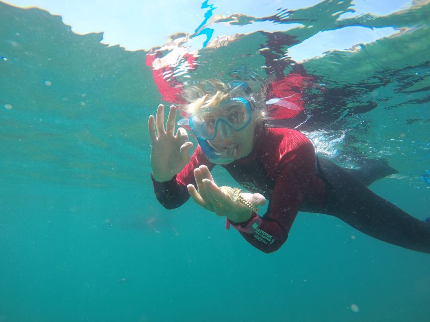 Lisbon: Snorkelling in Sesimbra/Arrábida Natural Park - Why the Professor Luiz Saldanha Marine Park is special