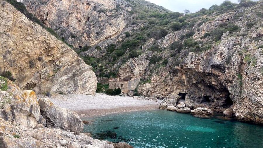 Lisbon: Snorkelling in Sesimbra/Arrábida Natural Park - What you may see below the surface