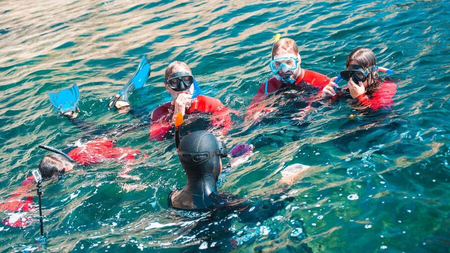 Lisbon: Snorkelling in Sesimbra/Arrábida Natural Park - The guides make a practical difference