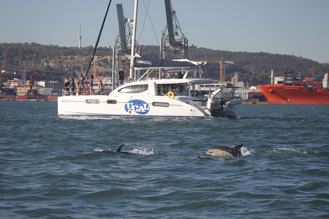 Lisbon: Sunset Cruise With Drinks on Spacious Yacht - Drinks, snacks, and the onboard mood