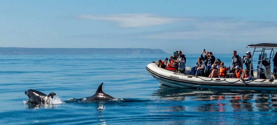 Lisbon: Sunset SpeedBoat Tour - Commerce Square and Alfama from the water