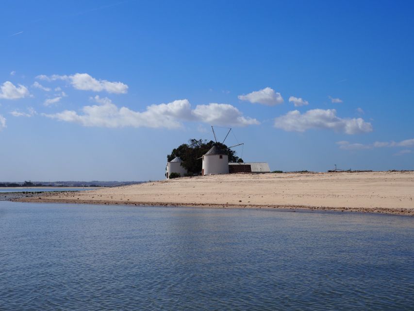 Lisbon: Tagus Estuary Nature Reserve Birdwatching Boat Tour - Carlos Cera makes the difference