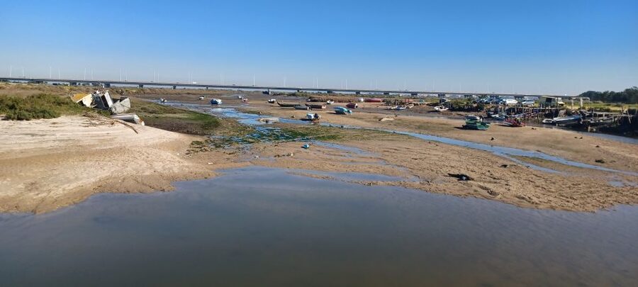 Lisbon: Tagus Estuary Nature Reserve Birdwatching Boat Tour - Entering the Tagus Estuary Nature Reserve