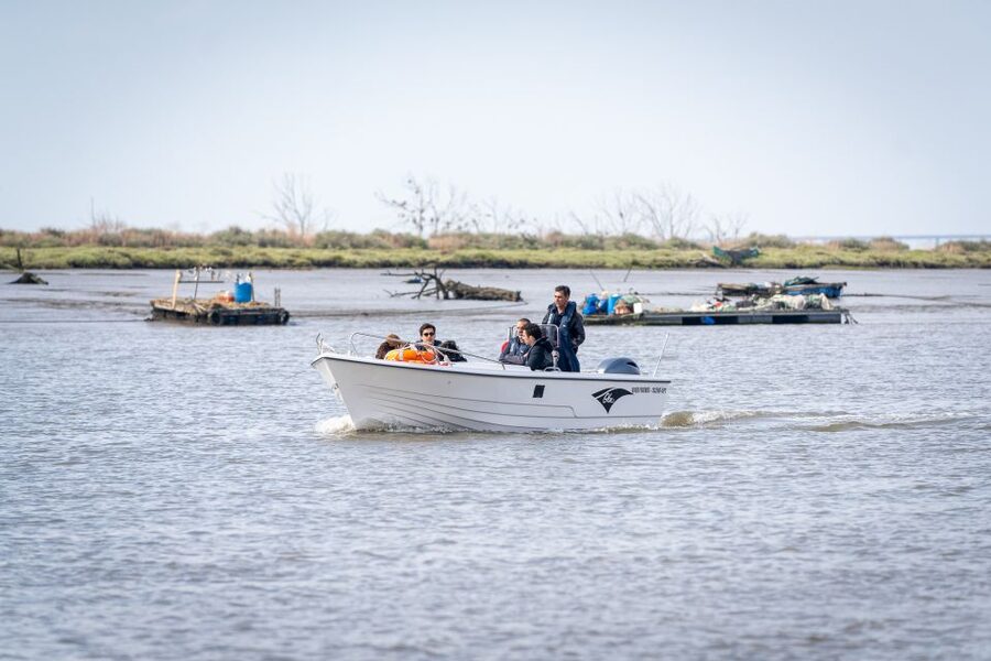 Lisbon: Tagus Estuary Nature Reserve Birdwatching Boat Tour - Mouchão da Póvoa and the return route