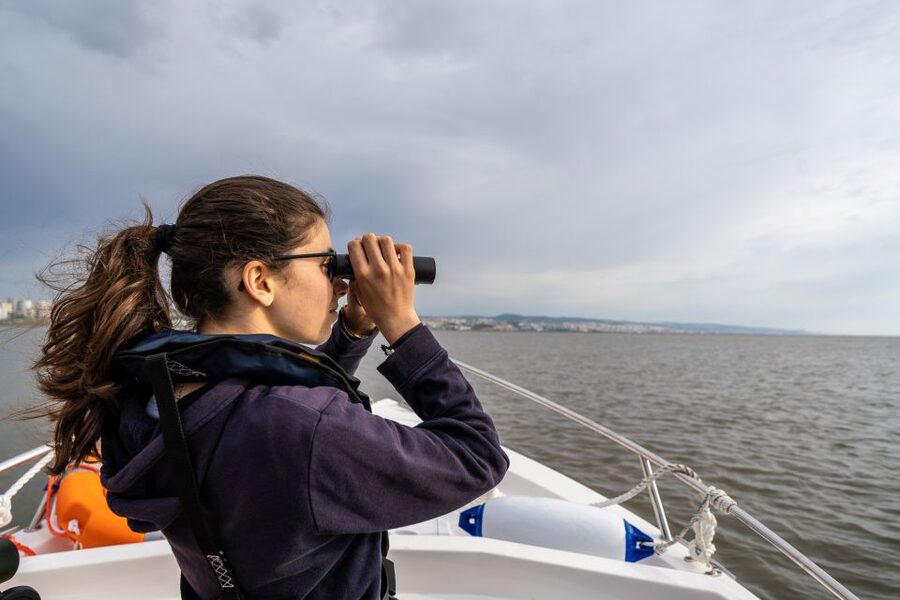 Lisbon: Tagus Estuary Nature Reserve Birdwatching Boat Tour - Price and what you receive for $58