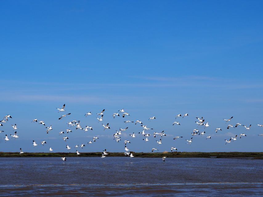 Lisbon: Tagus Estuary Nature Reserve Birdwatching Boat Tour - Who should book this cruise