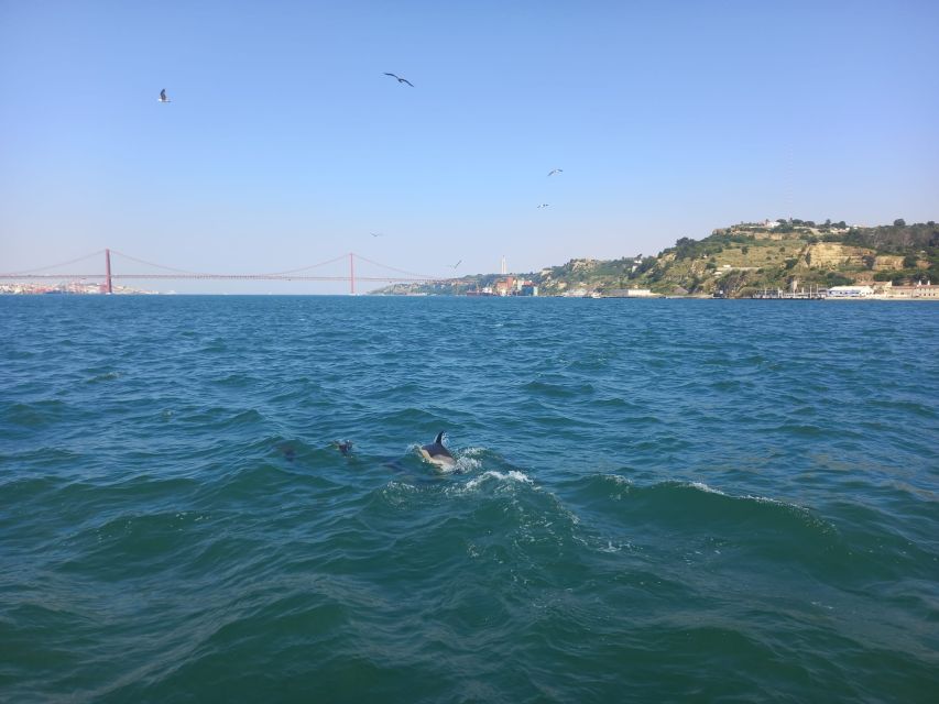 Lisbon: Tagus River Cruise to the Ocean & Dolphin Watching - Small practical details that matter