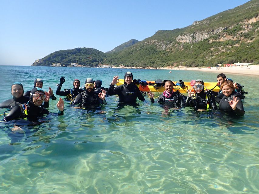 Lisbon: Try Dive in Arrábida Marine Reserve Setubal Sesimbra - The sea life you may see