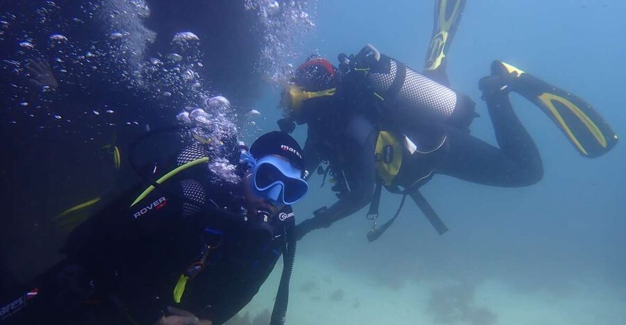 Lisbon: Try Dive in Arrábida Marine Reserve Setubal Sesimbra - Is $100 a fair price?