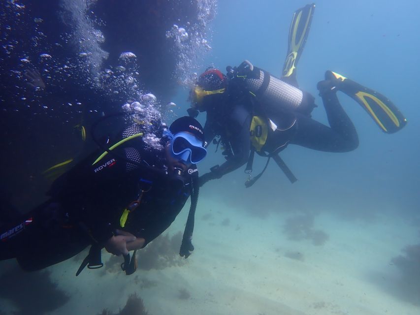 Lisbon: Try Dive in Arrábida Marine Reserve Setubal Sesimbra - What happens during the two hours