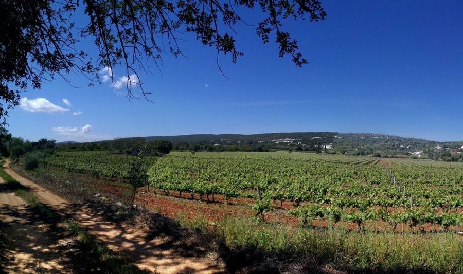 Loulé: Quinta da Tôr Winery Guided Tour and Wine Tasting - Key points to know before you book