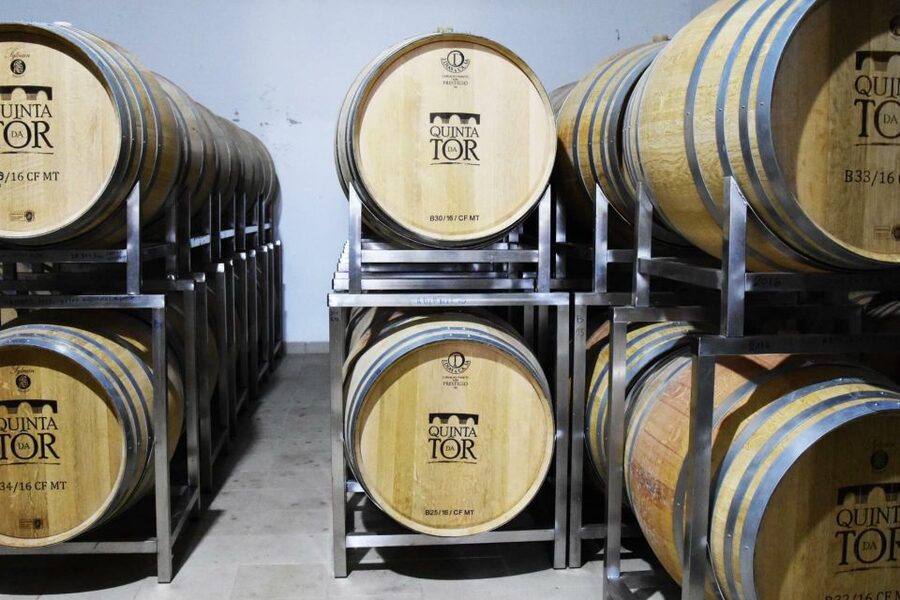 Loulé: Quinta da Tôr Winery Guided Tour and Wine Tasting - Four wines over 90 minutes