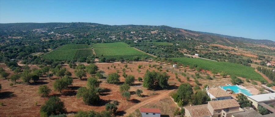 Loulé: Quinta da Tôr Winery Guided Tour and Wine Tasting - The pool and the reason to linger