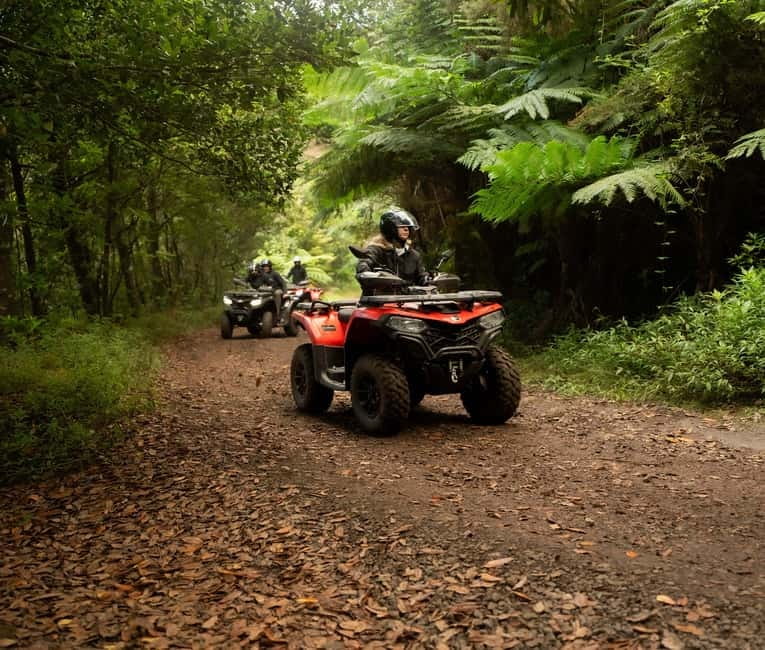 Madeira: Aventura Off-Road de ATV ou Quad - Adrenalina - Casa das Funduras and the mountain ride