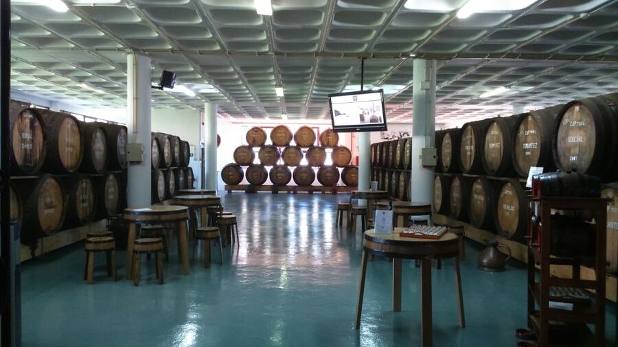 Madeira: Cabo Girao, Jeep Tour Adventure and Wine Tasting - Who should book this Madeira experience?