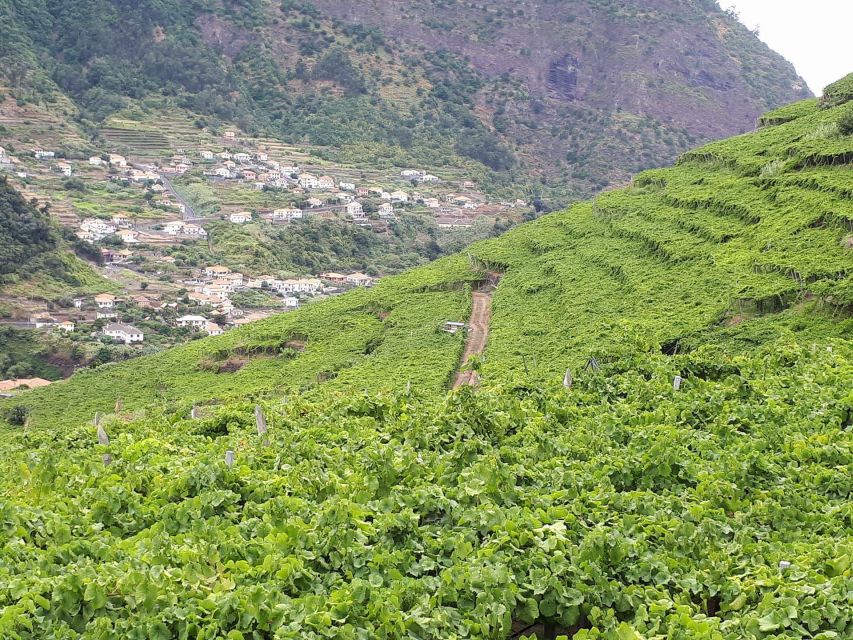 Madeira: Cabo Girão, Wine Tasting, & Serra d'Água Jeep Tour - Why this four-hour route works