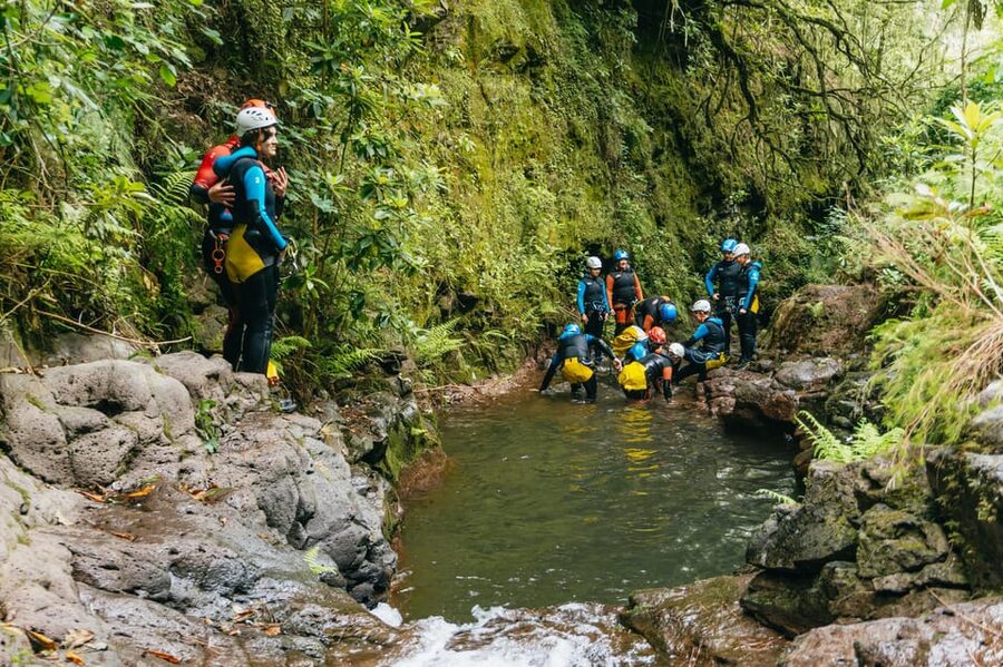 Madeira Canyoning Beginners – Easy & Fun Waterfall Adventure - Madeira’s plants, waterfalls, and old terraces
