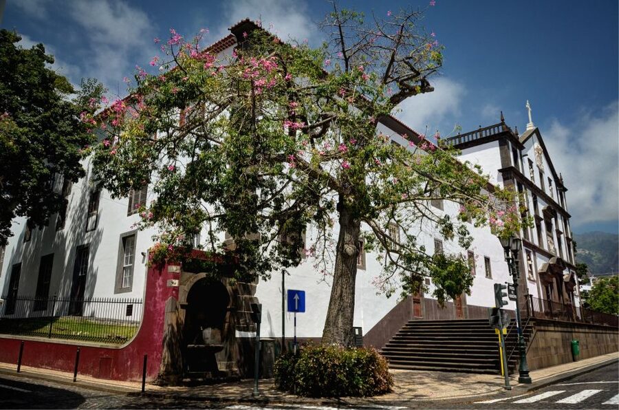 Madeira: Customized 3, 4 or 6-Hour Tour - Monte Palace and the Botanical Garden