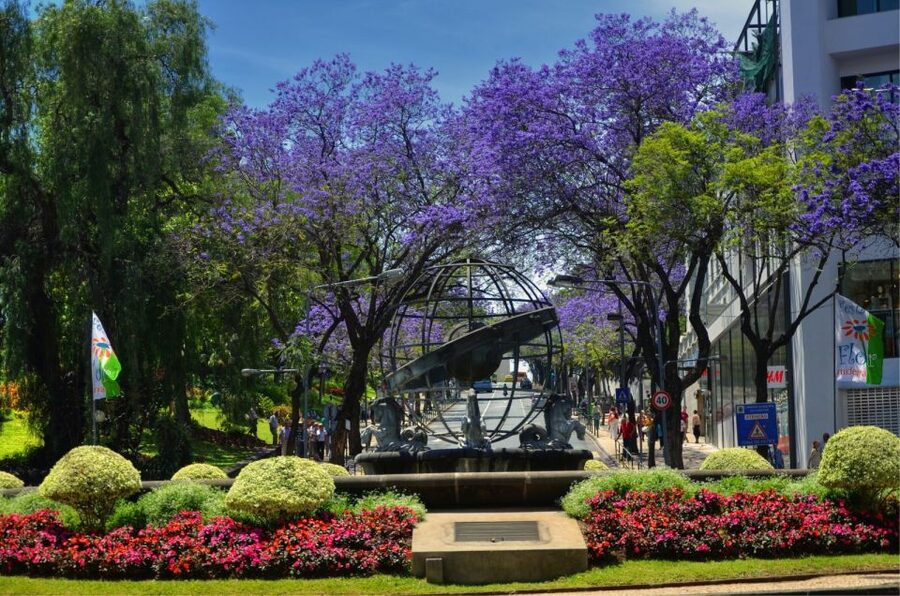 Madeira: Customized 3, 4 or 6-Hour Tour - Garajau and the Christ the Redeemer view