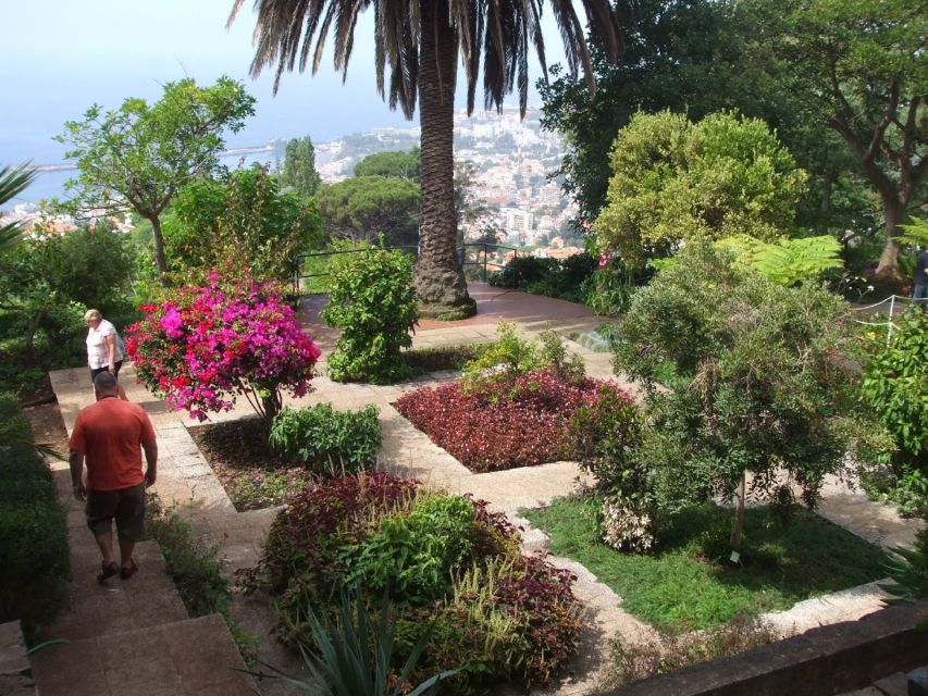 Madeira: Customized 3, 4 or 6-Hour Tour - Funchal, the easy starting point