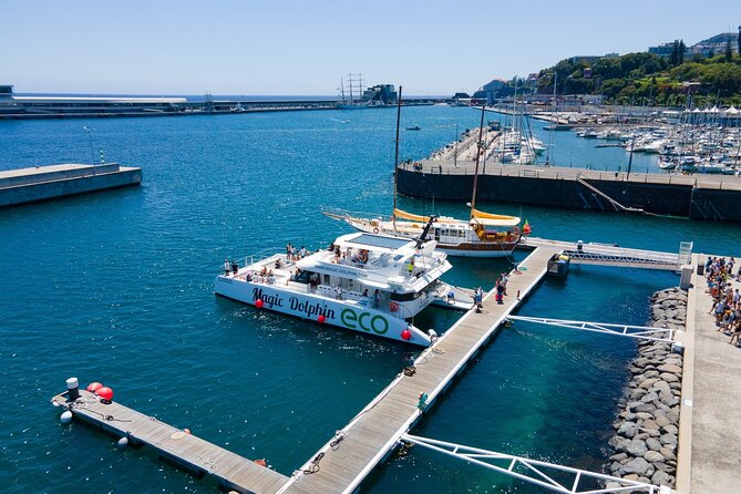 Madeira Dolphin and Whale Watching on a Ecological Catamaran - Comfort, wind, spray, and the hard truth about sea conditions