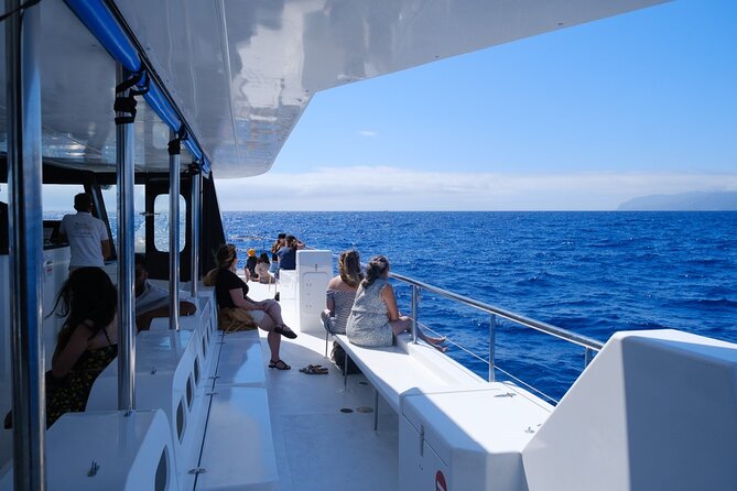 Madeira Dolphin and Whale Watching on a Ecological Catamaran - Is $42.33 fair for three hours?