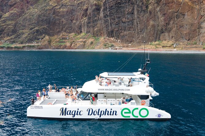 Madeira Dolphin and Whale Watching on a Ecological Catamaran - How the shore spotters improve your chances