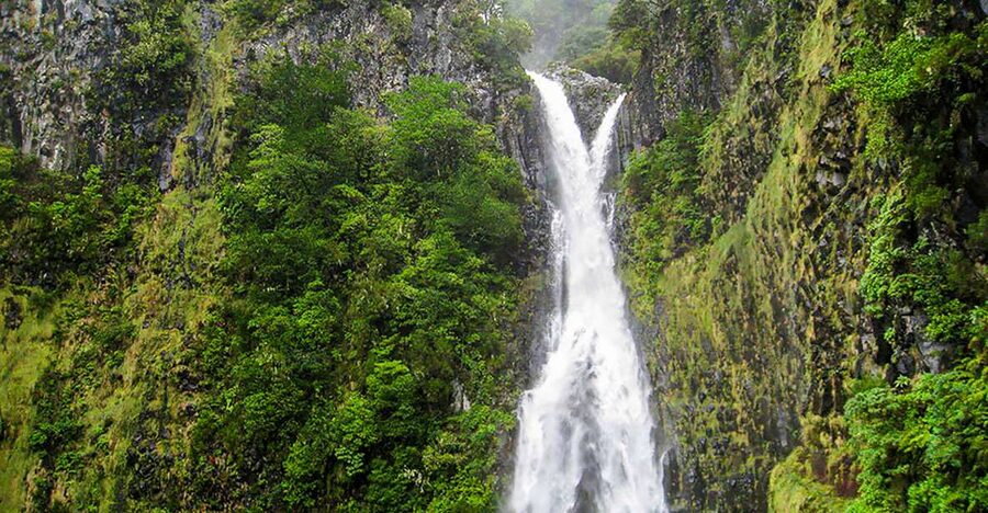 Madeira: Enjoy a Guided Levada Walk in the Rabaçal Valley - Key points to know before booking