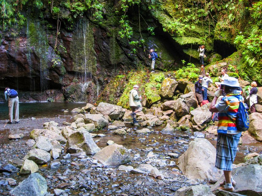 Madeira: Enjoy a Guided Levada Walk in the Rabaçal Valley - The tunnel section: dark, wet, and memorable