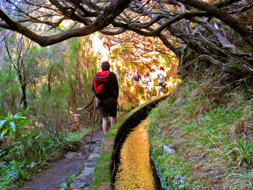 Madeira: Enjoy a Guided Levada Walk in the Rabaçal Valley - What to bring, and what to leave behind