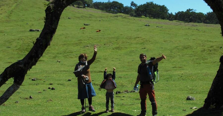 Madeira: Fanal Forest Guided Hiking Tour - Why Fanal Forest feels different from an ordinary woodland walk