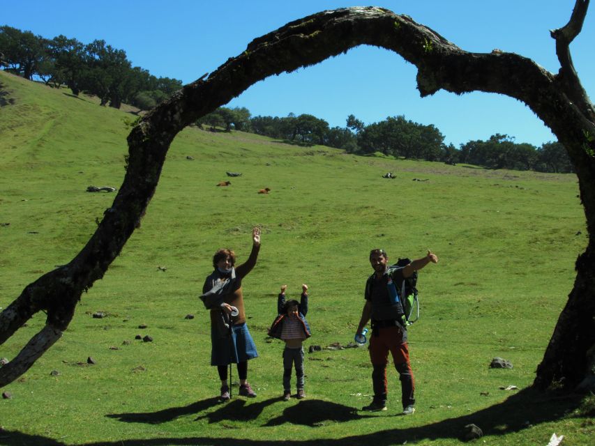 Madeira: Fanal Forest Guided Hiking Tour - A 105-minute walk beneath ancient trees