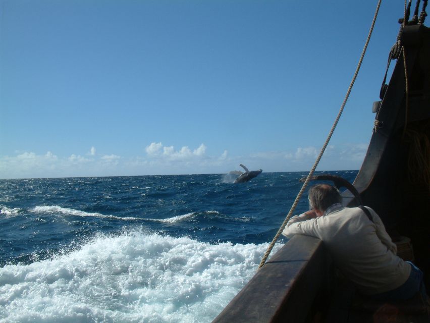 Madeira: Flag Ship Tour aboard Santa Maria de Colombo - Who Will Enjoy This Most?