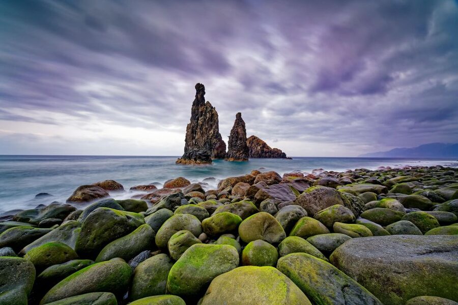 Madeira: Full-Day Jeep Tour, Natural Pools, Seixal & Fanal - Fanal Forest brings a change of mood