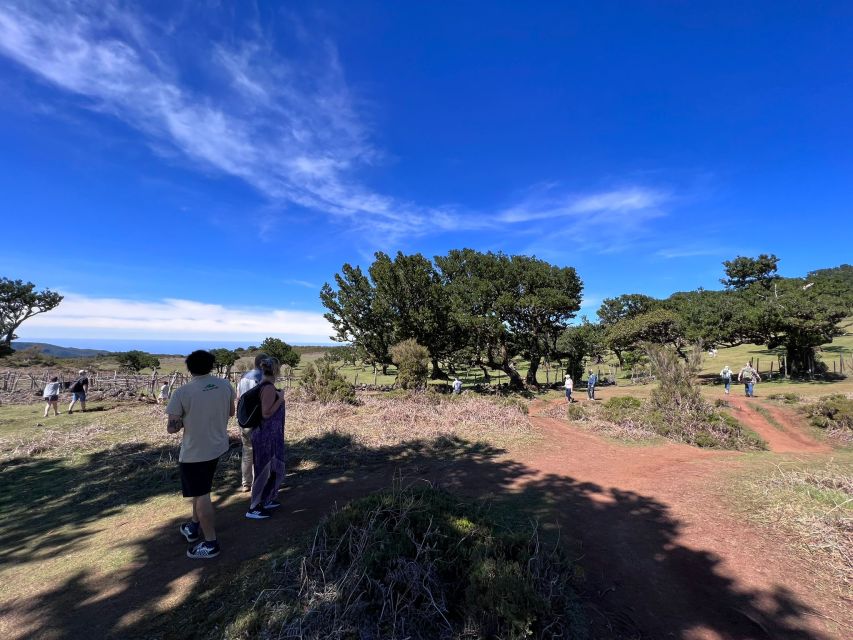 Madeira: Full-Day Jeep Tour with Guide and Pickup - Porto Moniz: two hours for volcanic pools and lunch