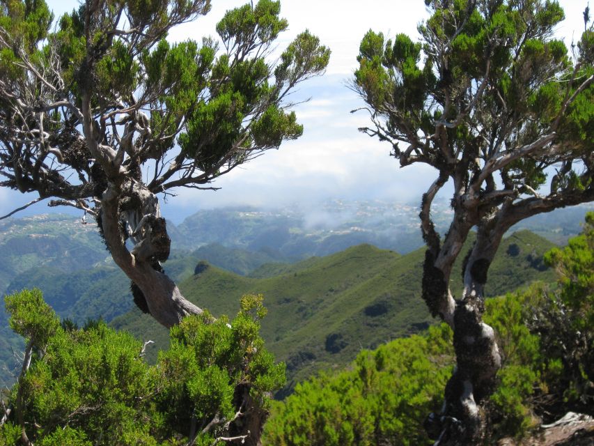 Madeira: Full-Day Pico Ruivo / Achada do Teixeira Walk - Should you book the Pico Ruivo walk?