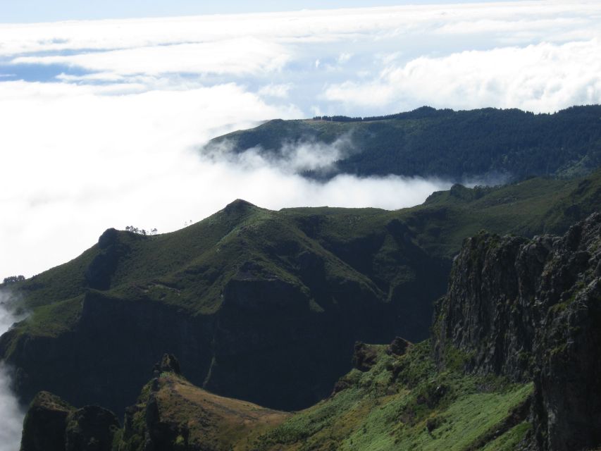 Madeira: Full-Day Pico Ruivo / Achada do Teixeira Walk - Walking through Madeira’s oldest heather forest