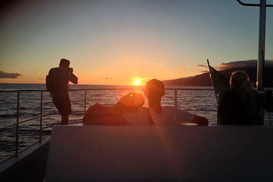 Madeira: Funchal Sunset Tour by Catamaran - What the three-hour route feels like