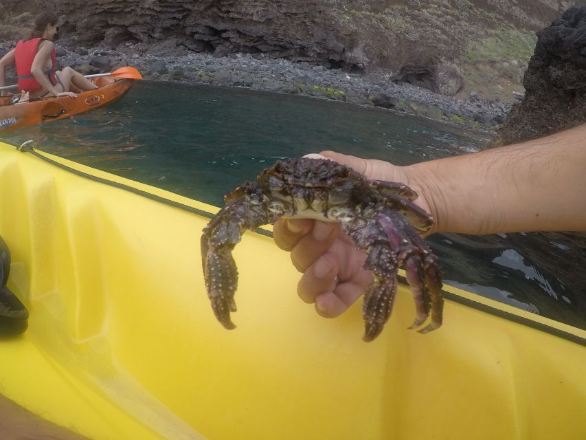 Madeira: Garajau Nature Reserve Kayak and Snorkel Tour - What to bring and how to prepare