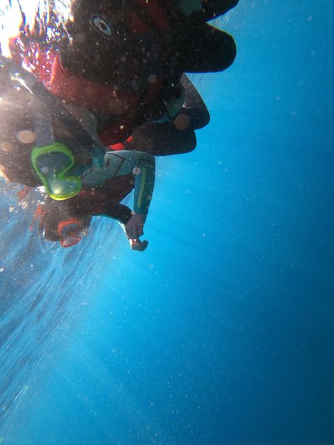 Madeira: Half-Day Coasteering Tour - What coasteering in Madeira really feels like