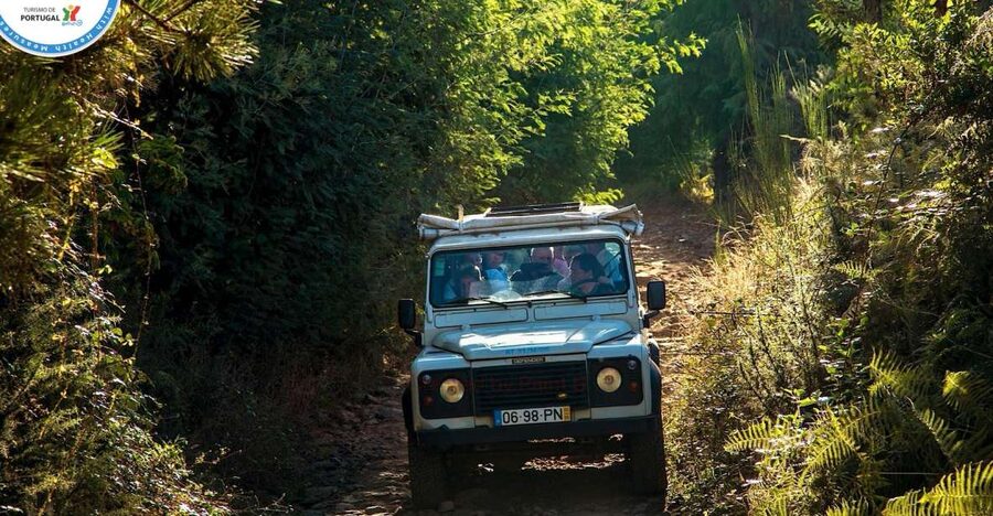 Madeira: Half-Day Nun's Valley and Sea Cliff Tour - Key points at a glance
