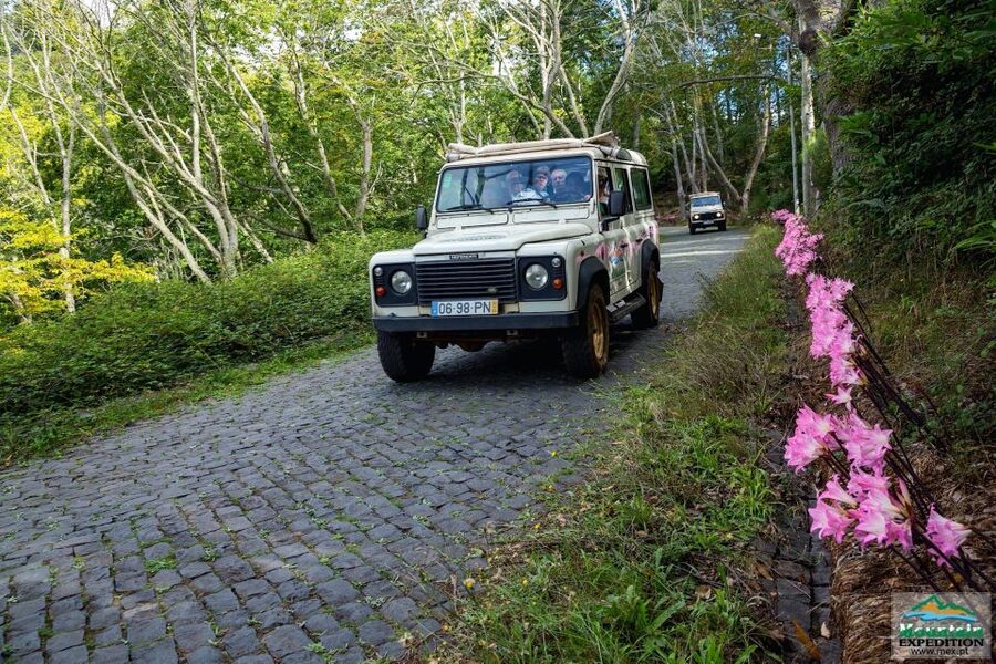 Madeira: Half-Day Nun's Valley and Sea Cliff Tour - Why this four-hour route works well